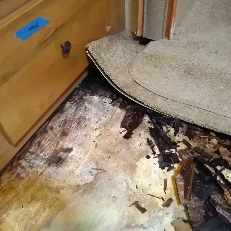 Wood Floor Water Damage in Greensboro, NC